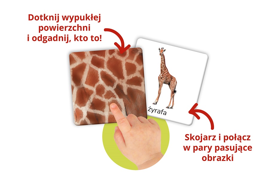 Montessori. Karty sensoryczne. Zwierzęta  2+ | Dotknij i poczuj - wypukłe elementy!